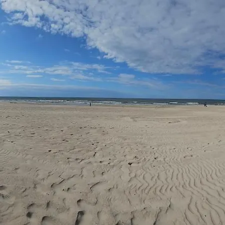 Pod Agawą